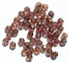50 6mm Faceted Transparent Bronze Lustre Firepolish Beads